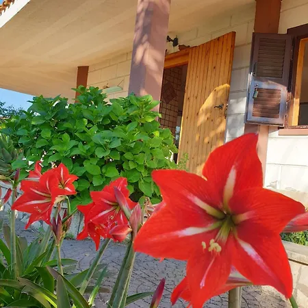 Villa Mare Australe