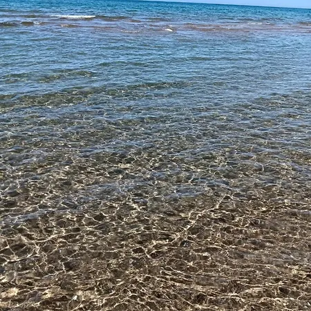 Mare Australe Ardea